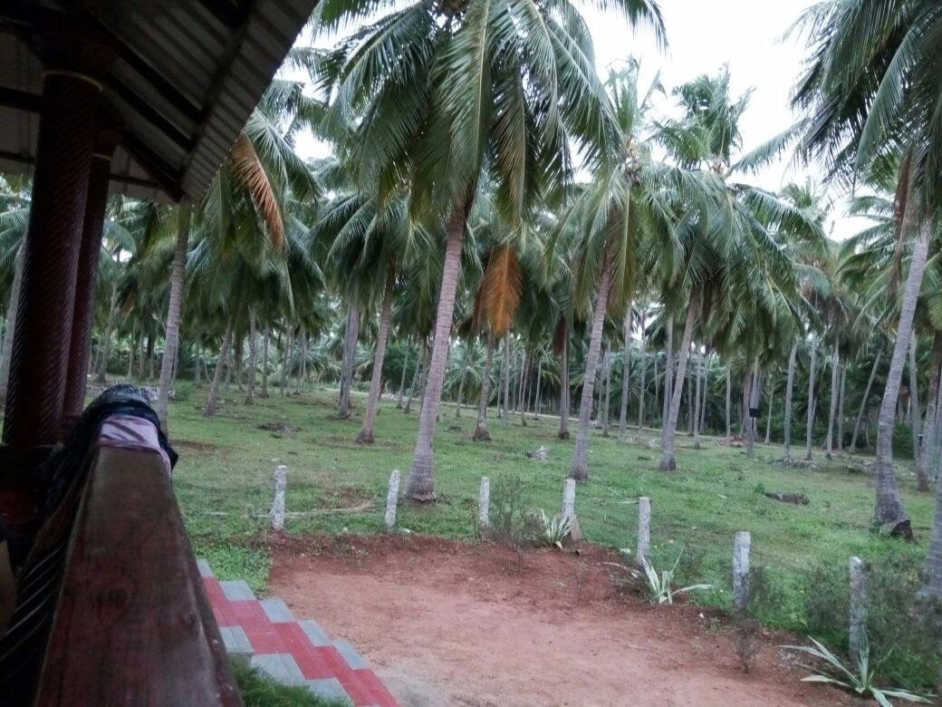 Wild County Resorts