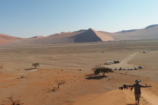 Shwari Safari And Travels