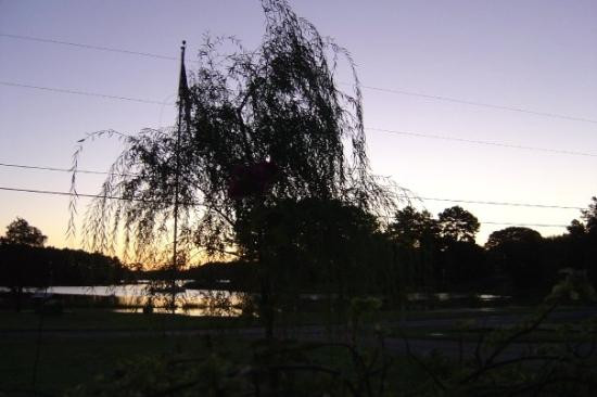 Tall Timbers旅游攻略图片