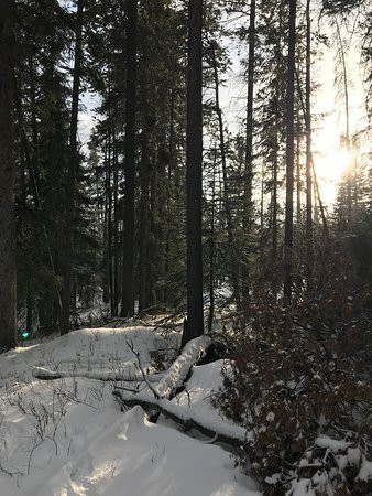 Allison Lake Cross Country Ski Trails-科尔曼必去景点