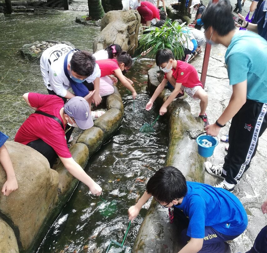 Farm In The City-雪州必去景点