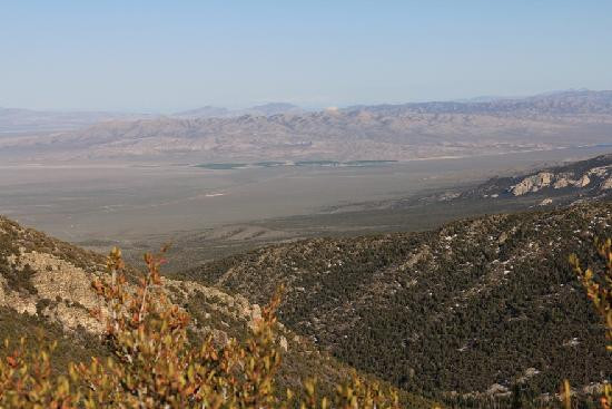Great Basin National Park-Baker必去景点