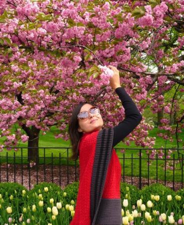 纽约植物园-布朗克斯必去景点