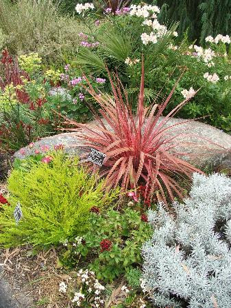 San Diego Botanic Garden-恩西尼塔斯必去景点