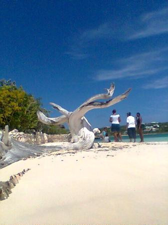 Scilly Cay-Island Harbour必去景点