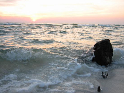 T.H. Stone Memorial St. Joseph Peninsula State Park-Port Saint Joe必去景点