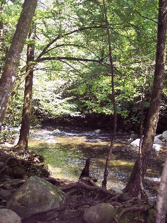 Sugarlands Valley Nature Trail-大雾山国家公园必去景点