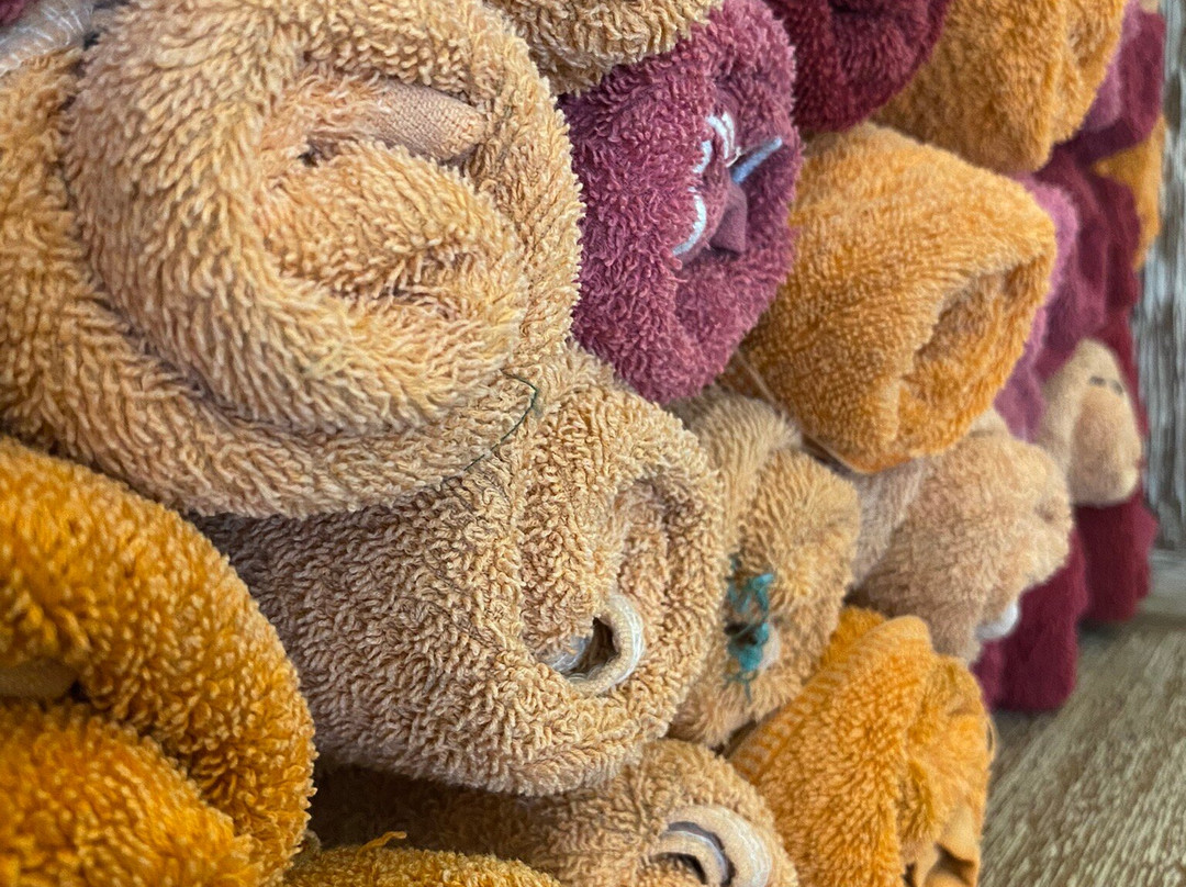 Aliya Salon & Day Spa-克罗柏坎必去景点