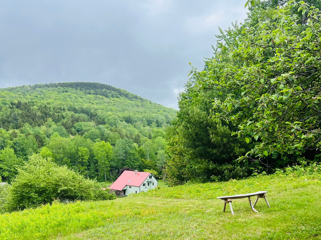 Saint Joseph's Dwelling Place主图