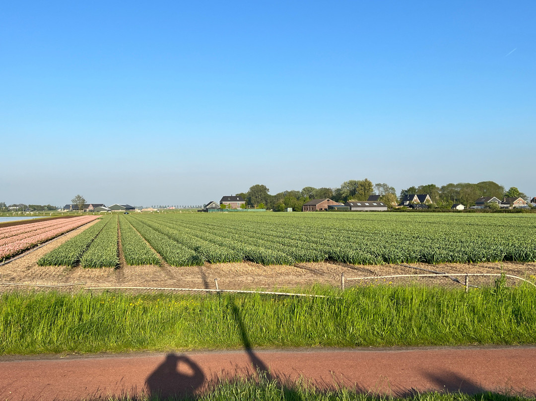 Fletcher Hotel-Restaurant Heiloo主图