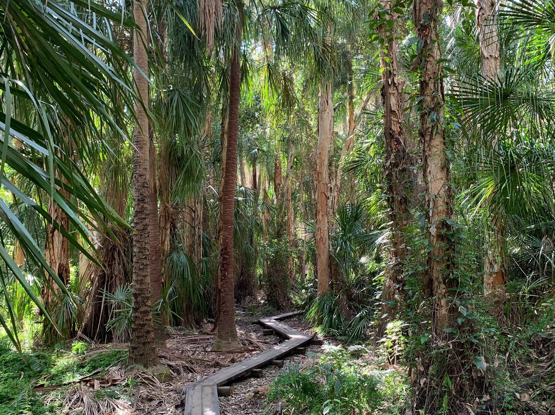 Paperbark Forest Walk-Agnes Water必去景点
