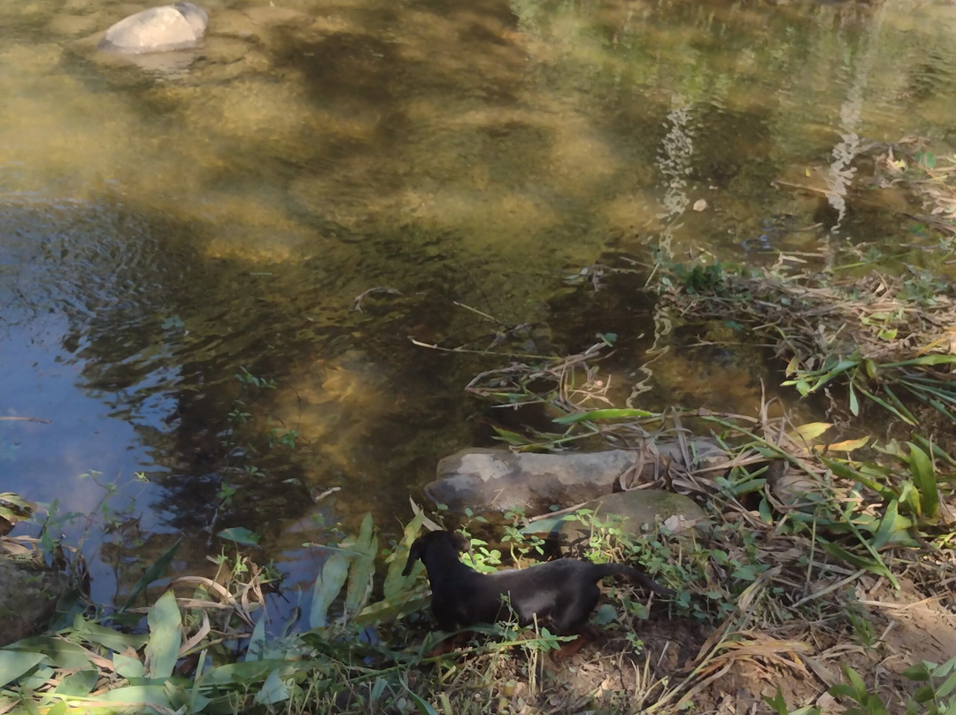 Museo de la Vera Cruz-Caravaca de la Cruz必去景点