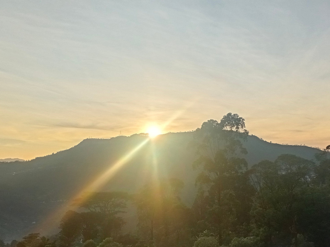 Nilowin Glenanore guesthouse主图