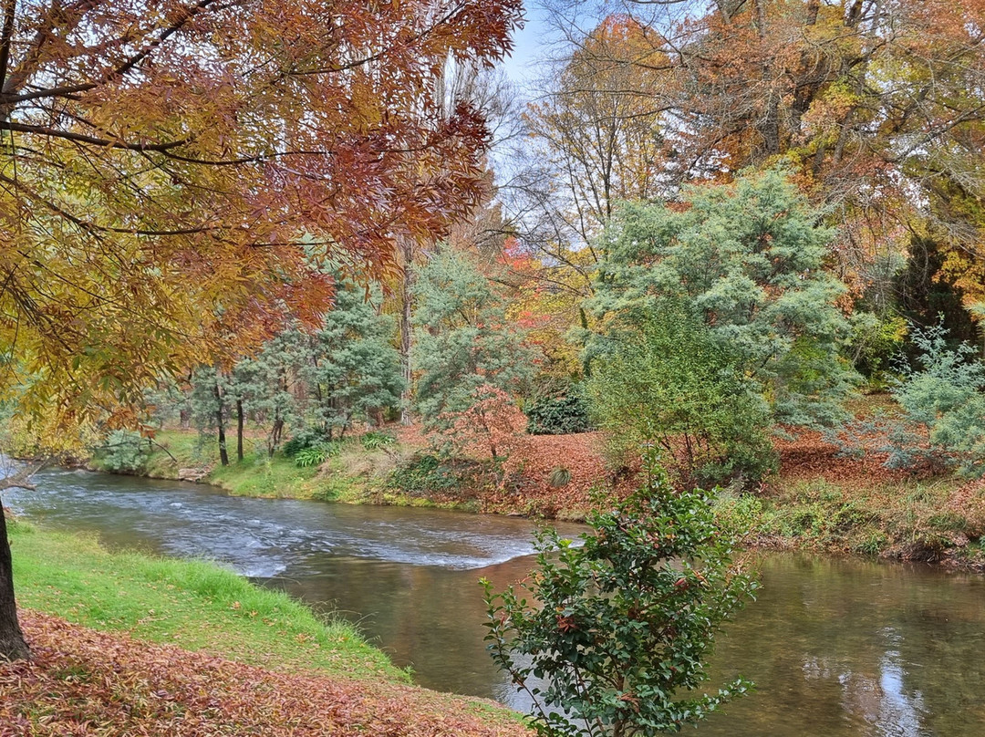 Canyon Walk-布赖特必去景点