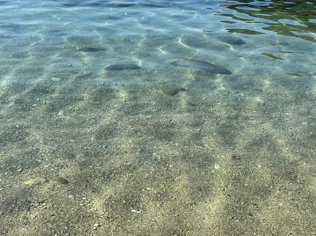 Agios Spiridon Beach-Paleokastritsa必去景点