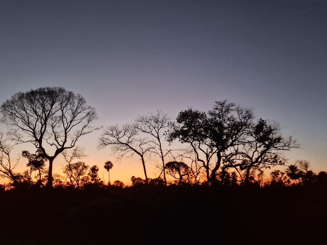 Caiman Ecological Refuge-米兰达必去景点