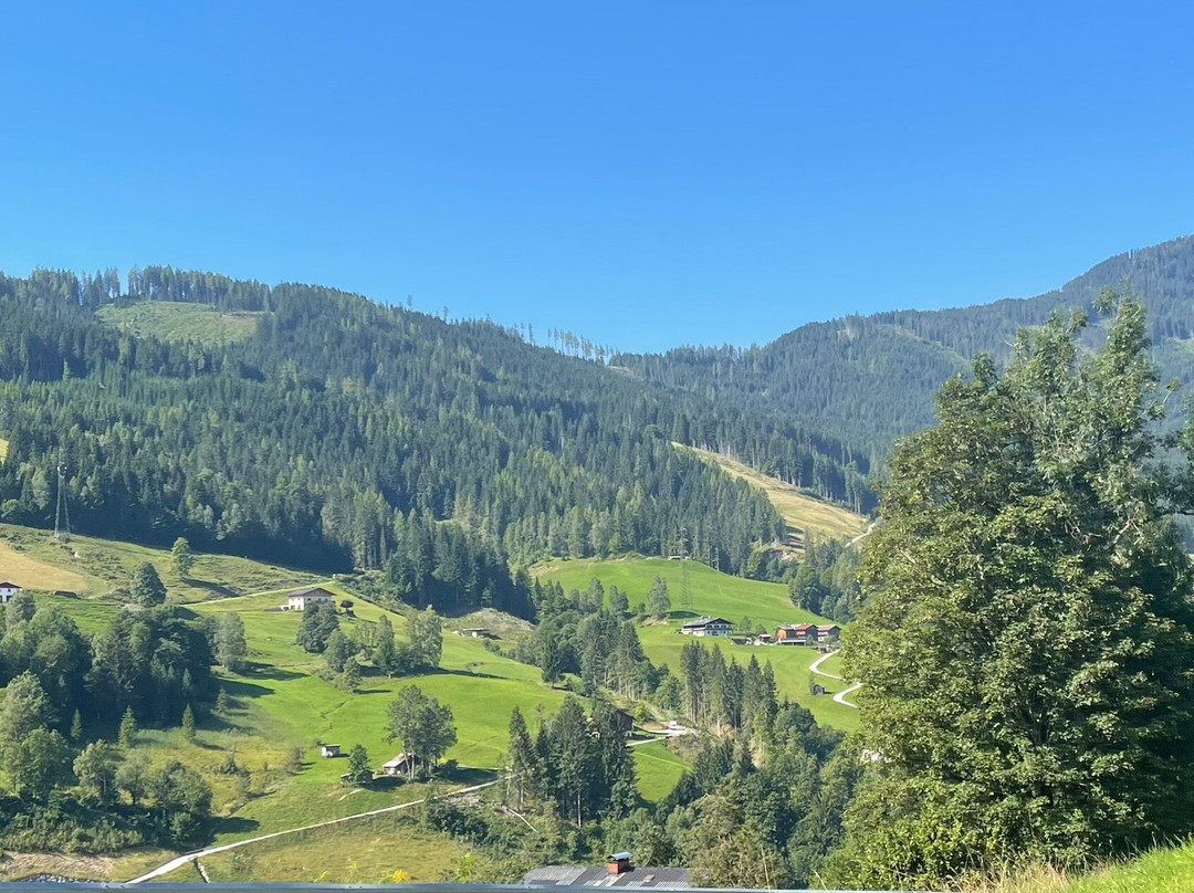 Das Grunholz Aparthotel主图