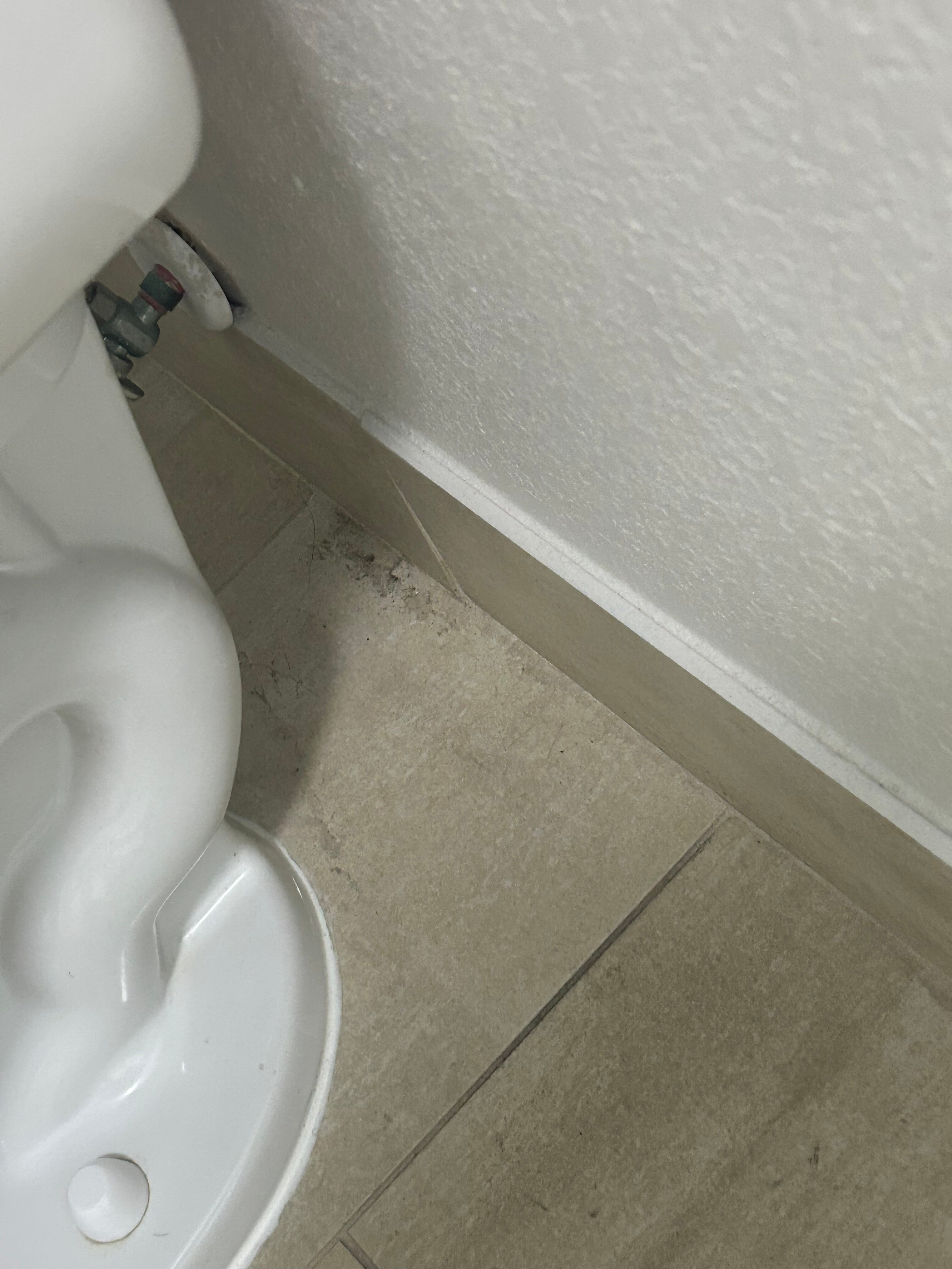 Holiday Inn Express & Suites Laurel By IHG-浴室