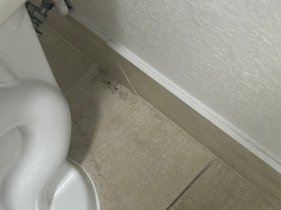 Holiday Inn Express & Suites Laurel By IHG主图