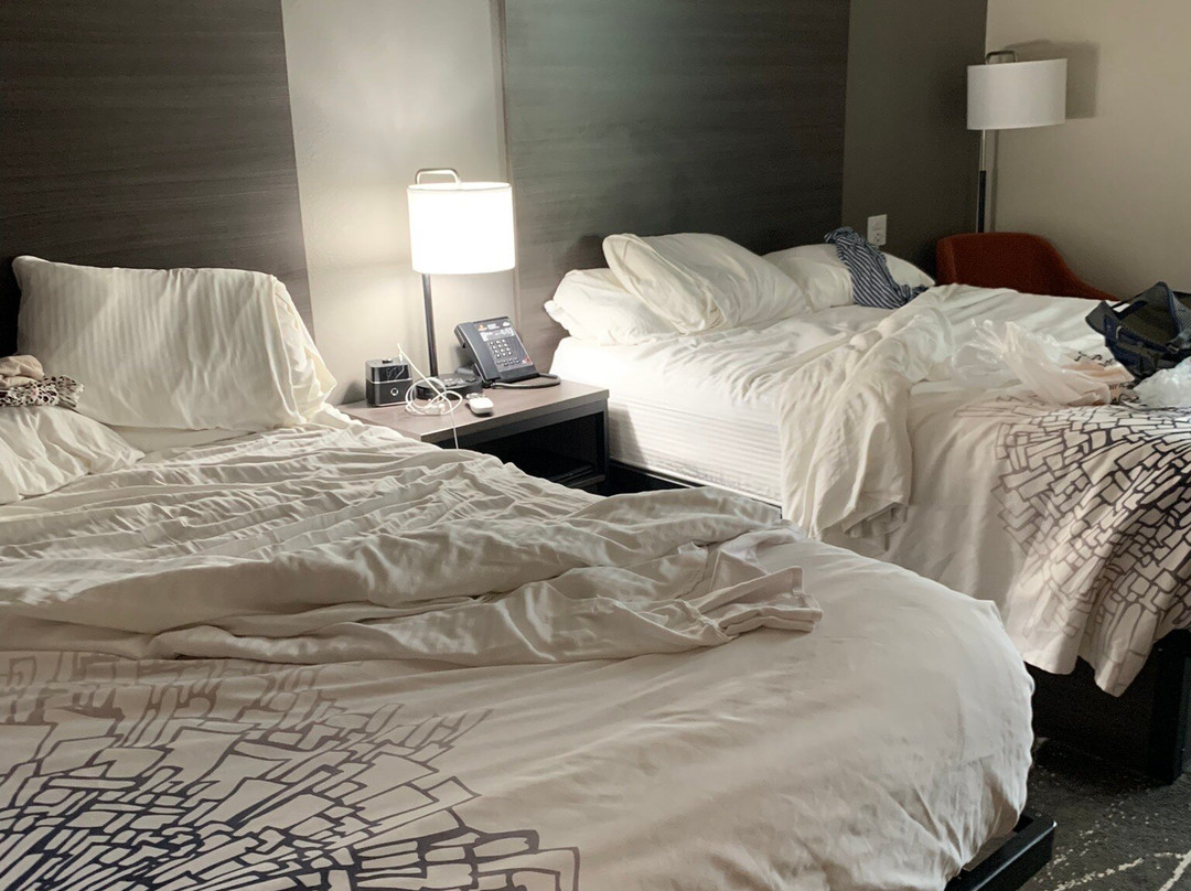 La Quinta Inn & Suites by Wyndham Holbrook Petrified Forest主图