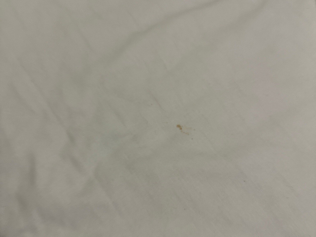 查恩伍德阿姆斯晚安旅店主图