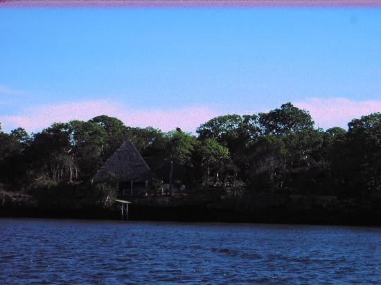 Pilli Pipa Dhow Safari-Shimoni必去景点