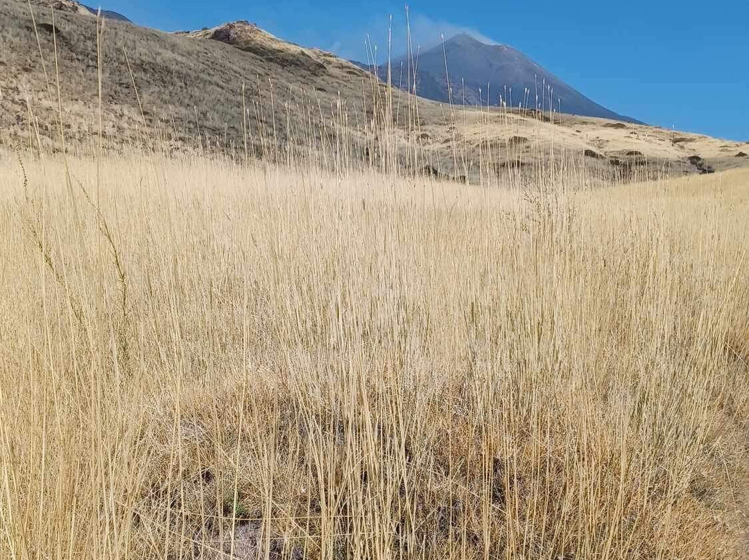 Valle Del Bove景点图片