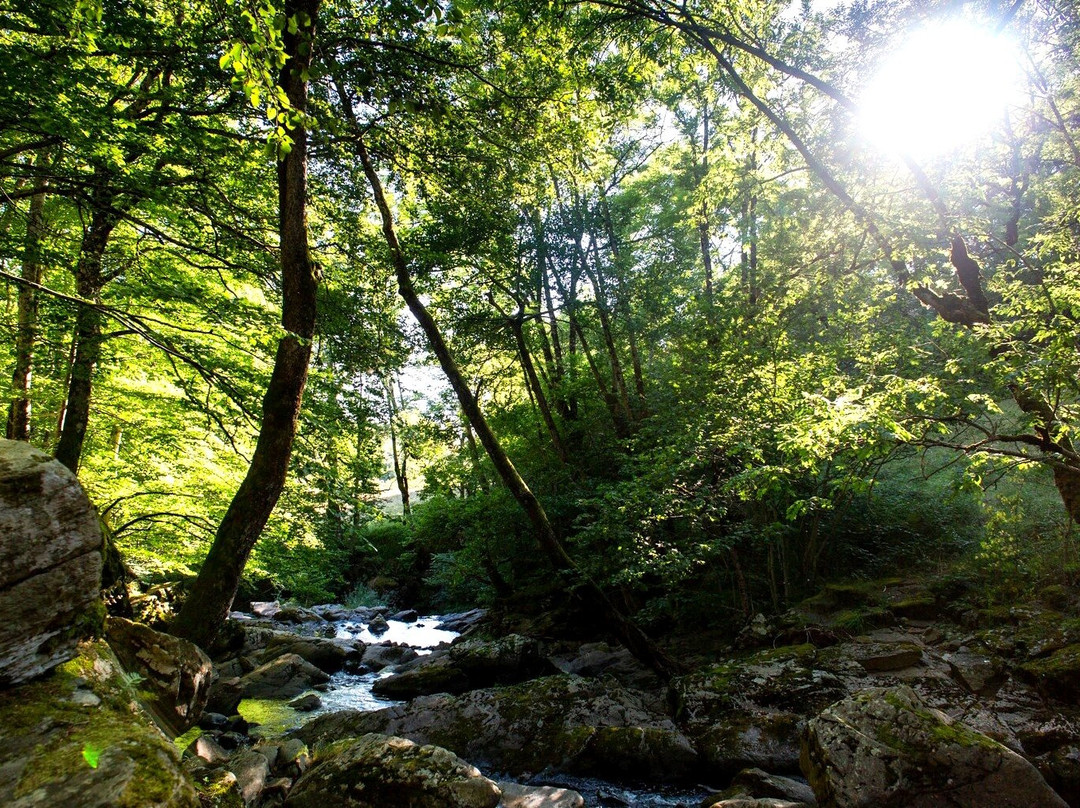 Cascades des Touzes-Saint-Chely-d'Aubrac必去景点