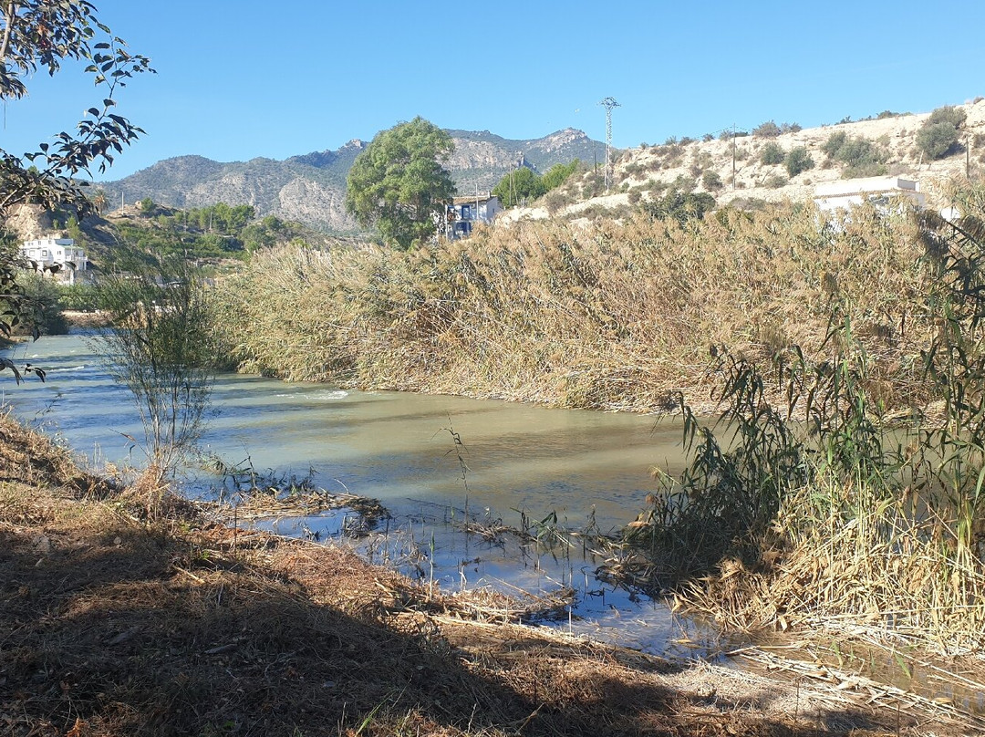 Carrera Ruta de las Norias