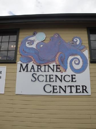 Port Townsend Marine Science Center景点图片