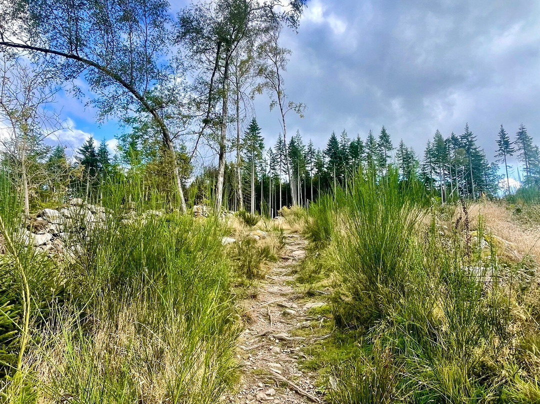 Scolty Hill-Banchory必去景点