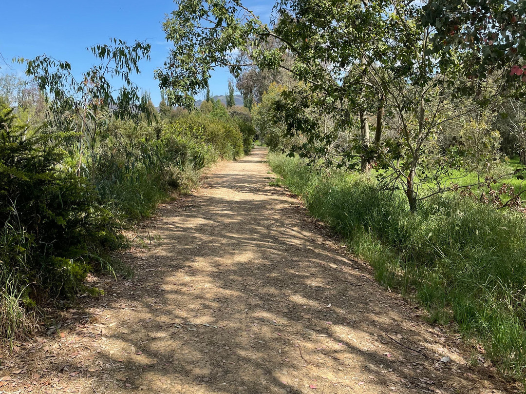 The Tumut Wetlands景点图片
