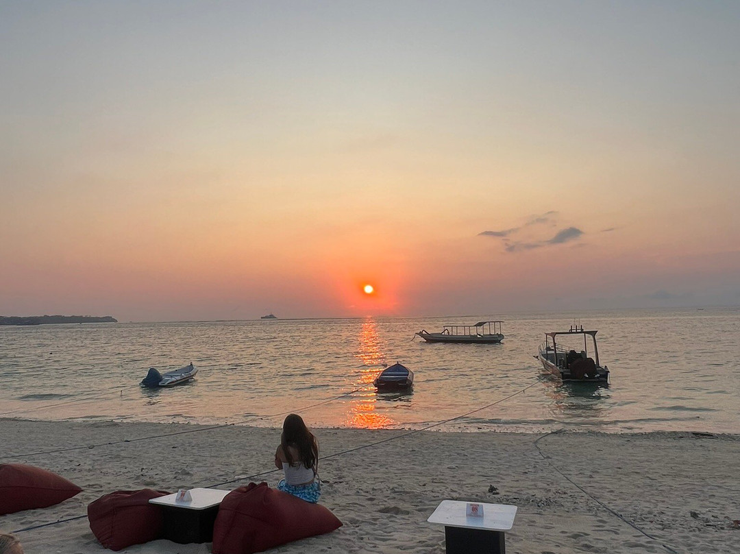 塔尔奇平房主图