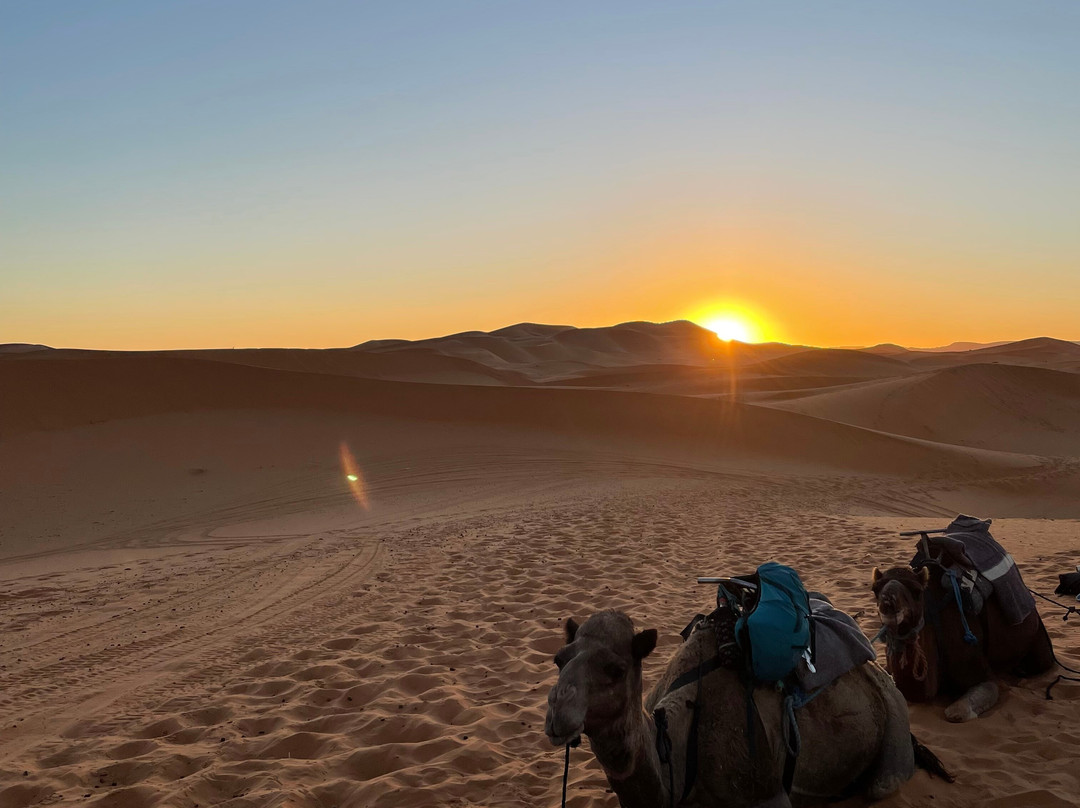 Active Treks Morocco-马拉喀什必去景点