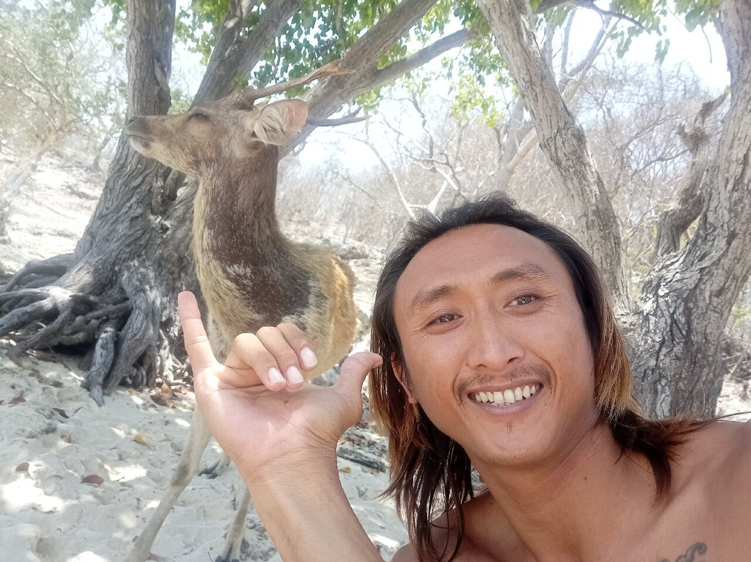 Ponk Bali Adventures Tourist Information Center-佩母德兰必去景点