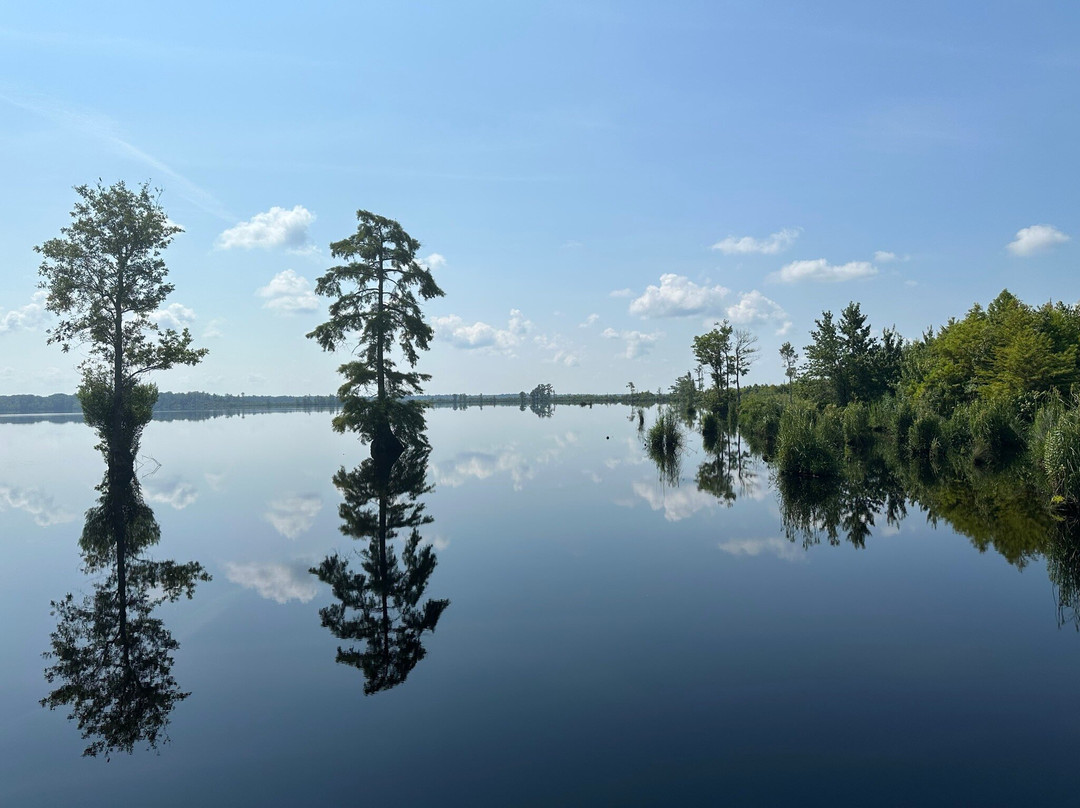 Lake Drummond景点图片