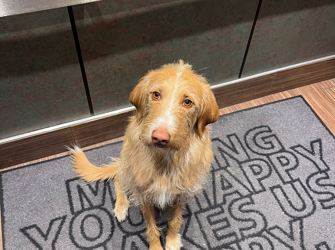 Hampton Inn Frederick主图