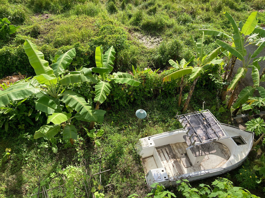 Matsya Island Retreat主图