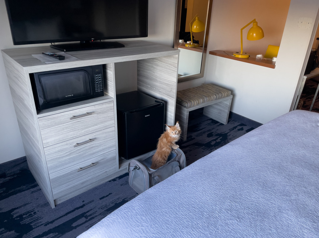 贝克利费尔菲尔德客栈主图