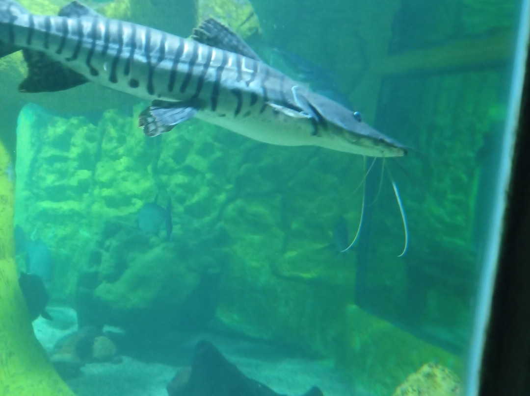 Bioparque Los Ocarros-比亚维森西奥必去景点