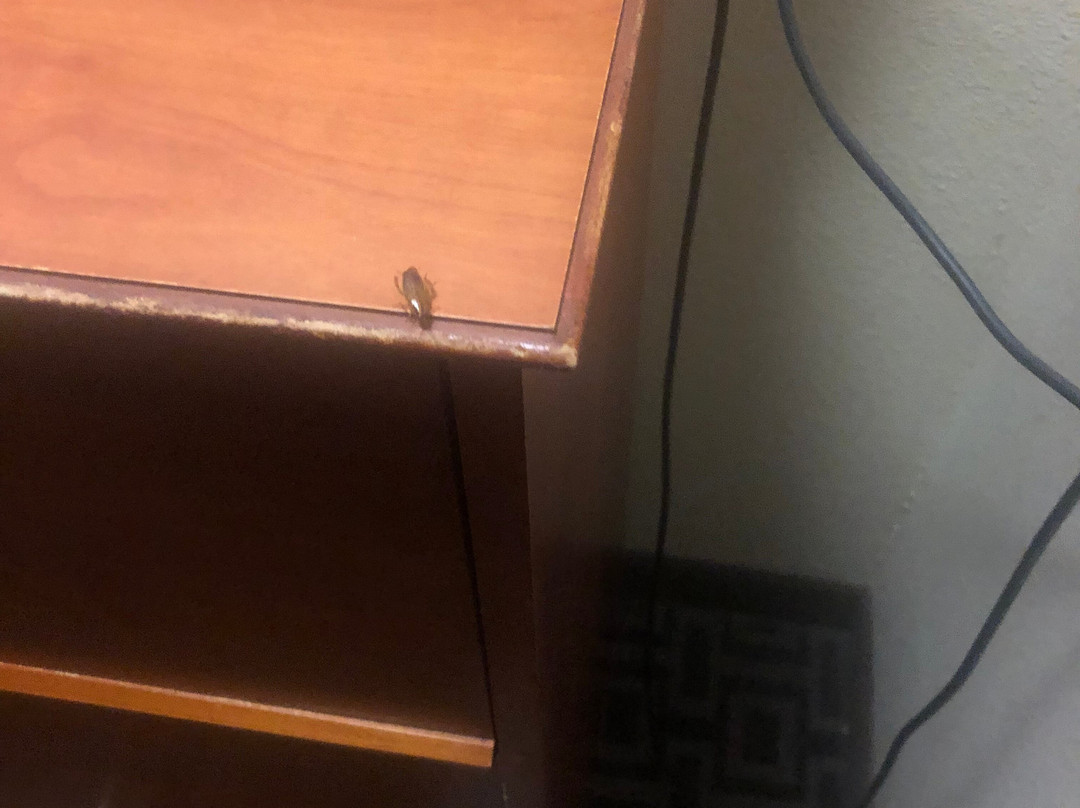 Suburban Extended Stay Birmingham Homewood主图