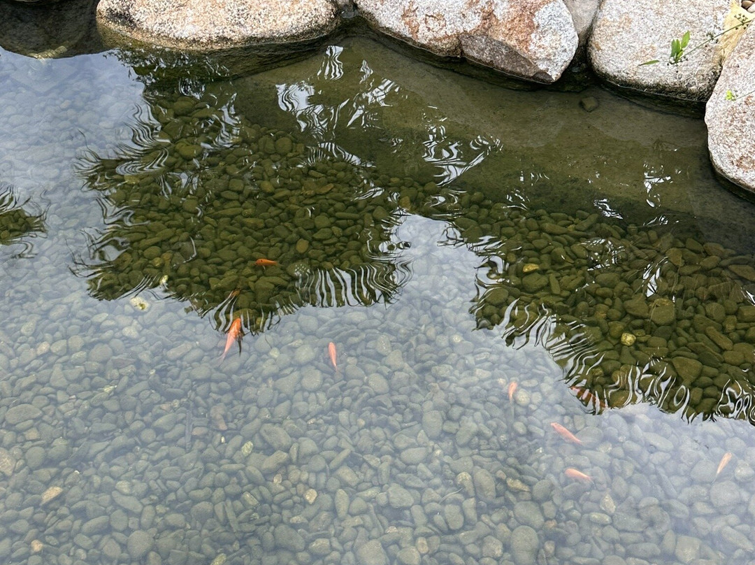 Ixora Ho Tram By Fusion主图