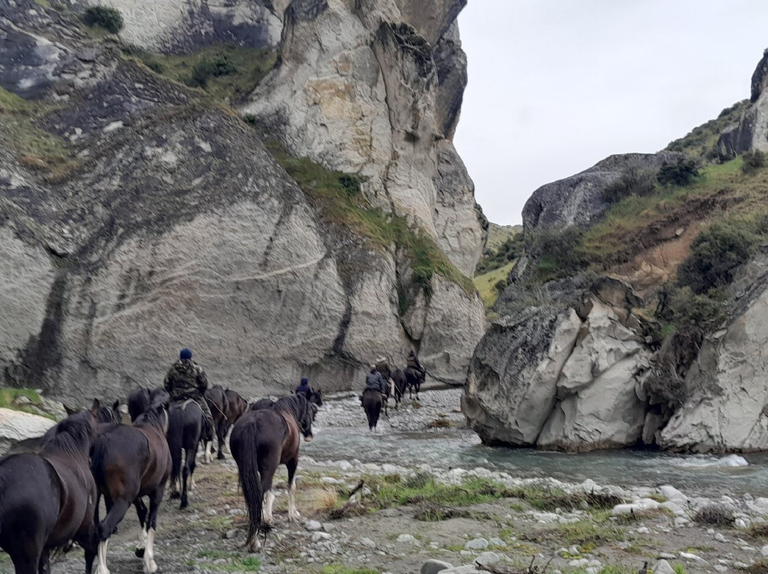 Alpine Horse Safaris景点图片