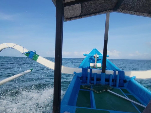 Balinice Transport-登巴萨必去景点