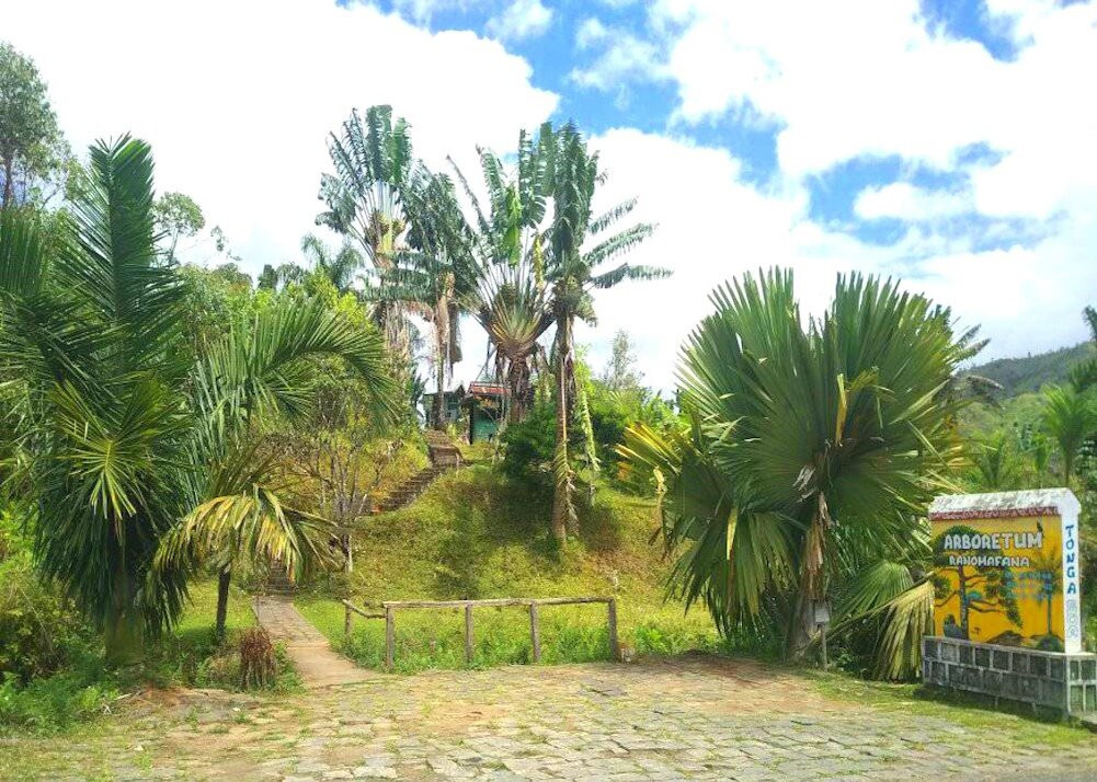 Ranomafana Arboretum景点图片