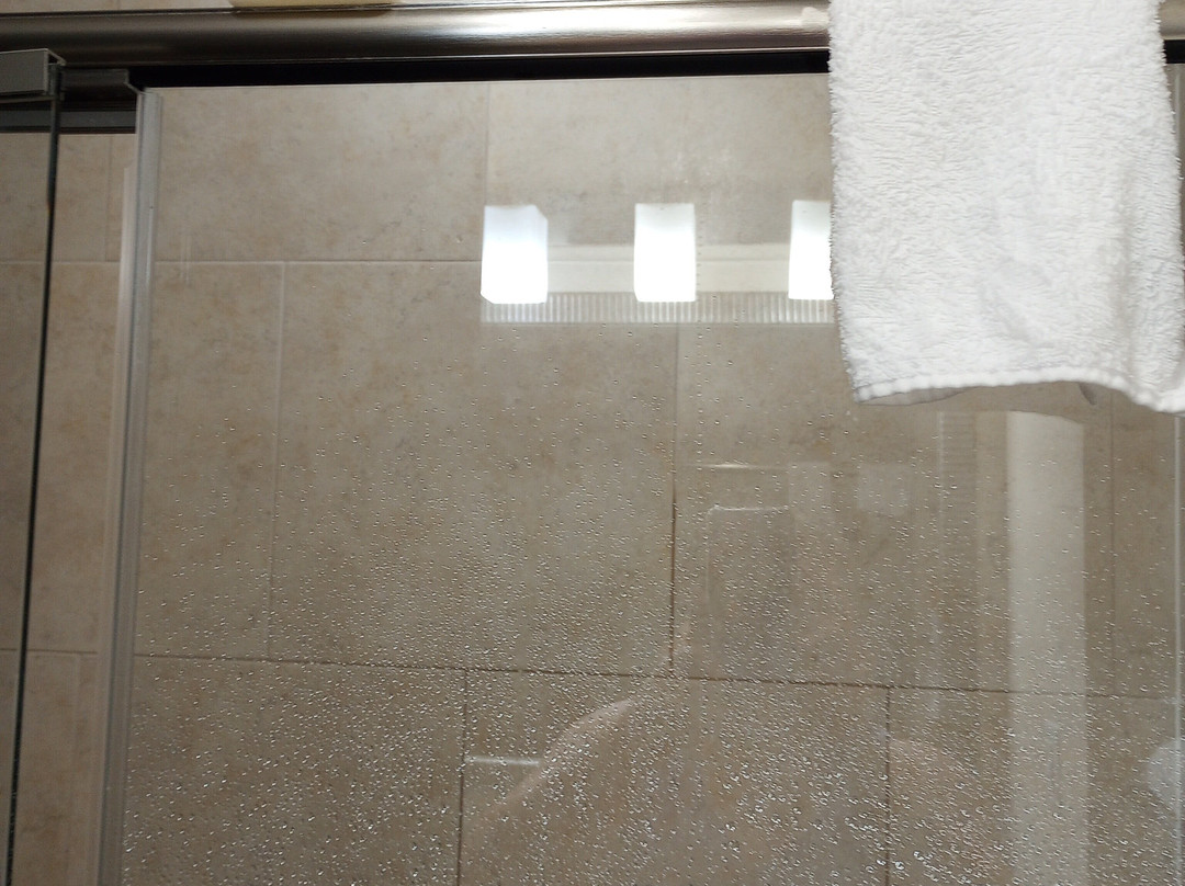 Best Western Plus Atrium Inn & Suites主图