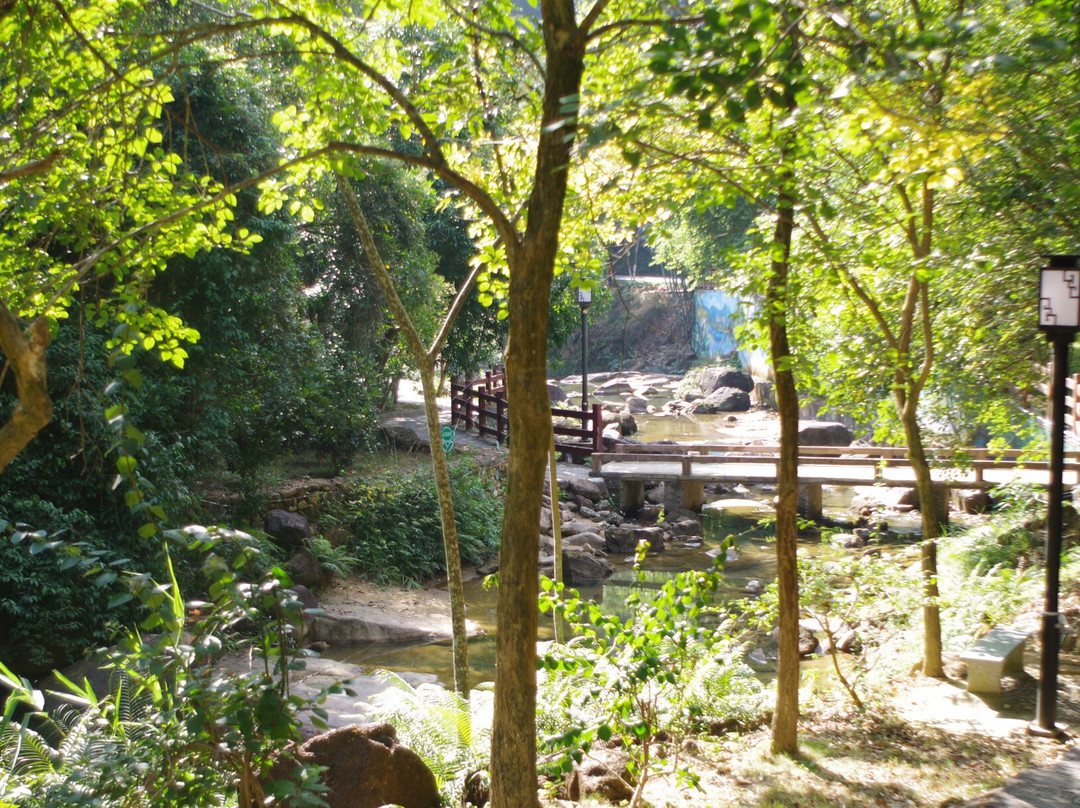 Baijianghu Forest Park景点图片