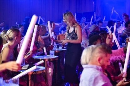 The Pink Flamingo Spiegeland-布里斯班必去景点