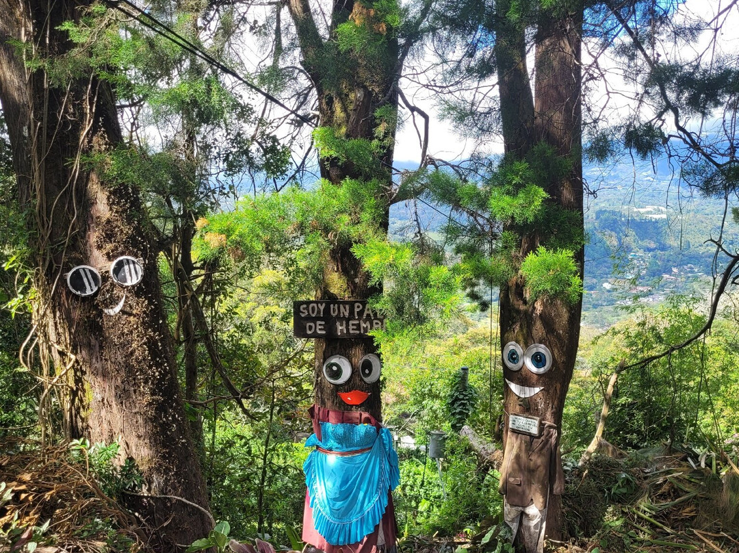 El Explorador Gardens景点图片