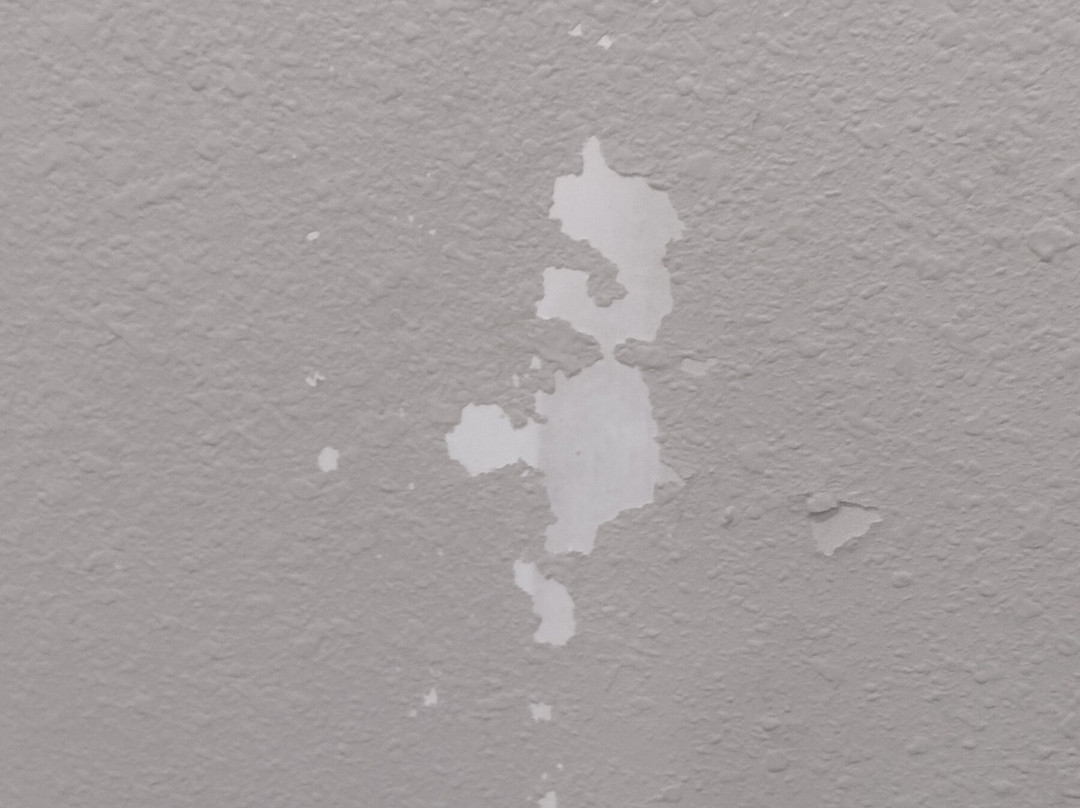 Super 8 by Wyndham Wichita South主图